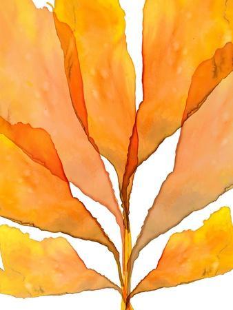 Autumn Leaves 2 - Giclee Print, 12x16