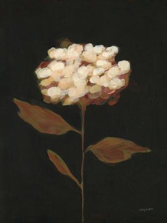 Fade into Fall II - Wall Art Print, 12x16