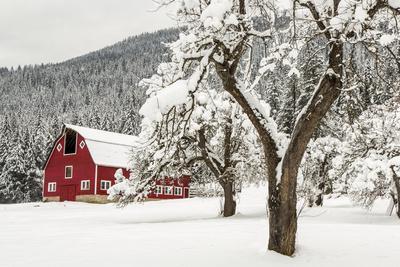 Fresh Snow on Red Barn Near Salmo, British Columbia, Canada - Photographic Print, 12x8 Fresh Snow on Red Barn Near Salmo, British Columbia, Canada - Photographic Print, 12x8