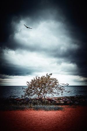 Late Night Feelings - Photographic Print, 8x12 Late Night Feelings - Photographic Print, 8x12