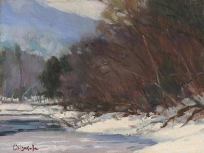 Nashawannuck Pond in Easthampton MA - Wall Art Print, 16x12