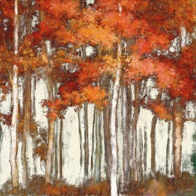 October Woods Light - Wall Art Print, 16x16