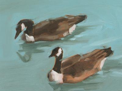 Tranquil Swim II - Wall Art Print, 16x12