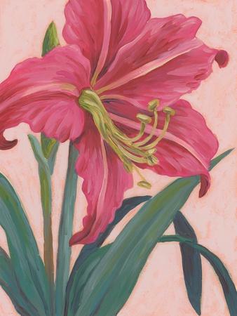 Vibrant Amaryllis I - Wall Art Print, 12x16