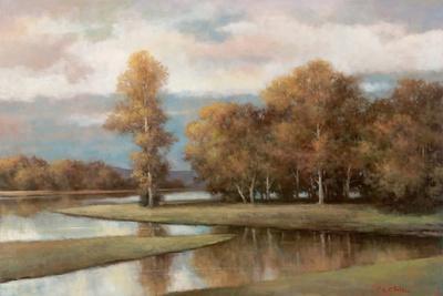 Winding River II - Wall Art Print, 18x12