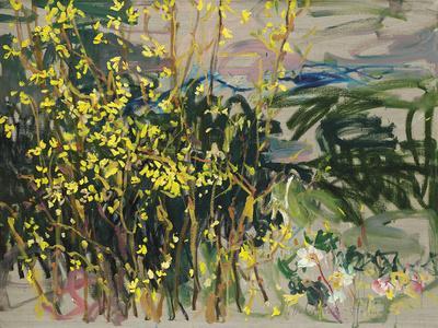 Yellow Blossoms - Giclee Print, 16x12